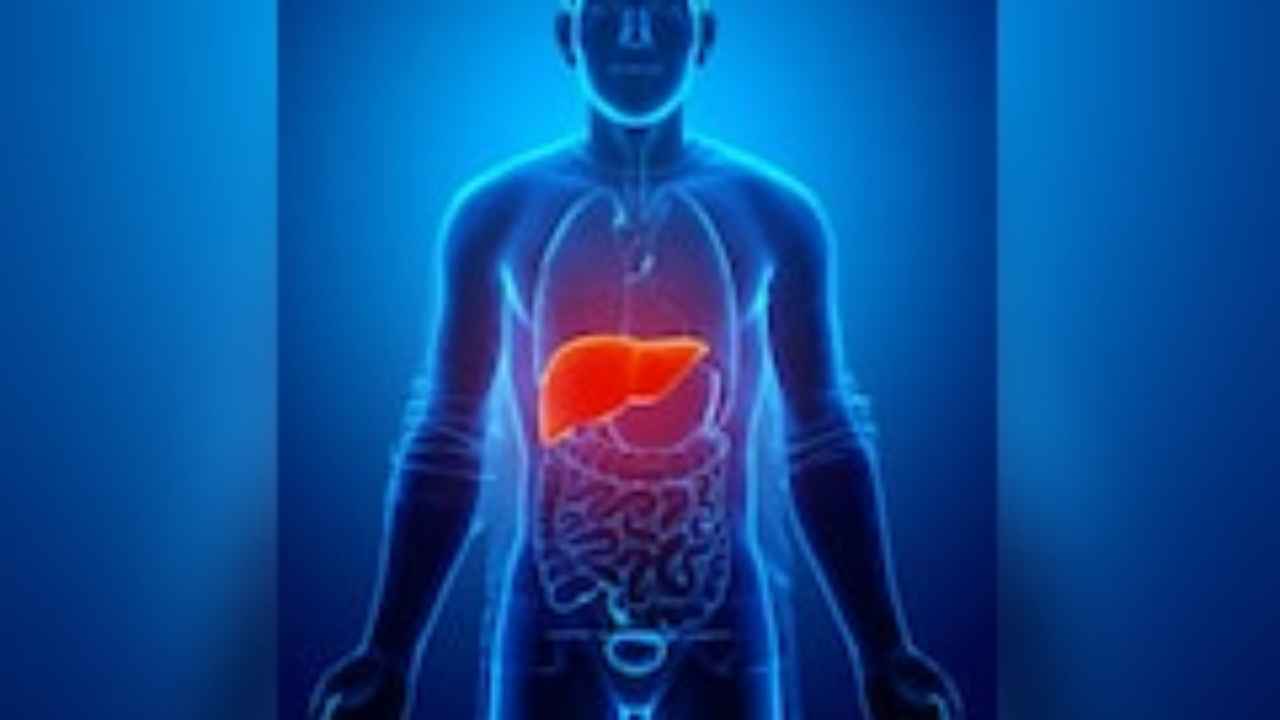 Health News Liver Care