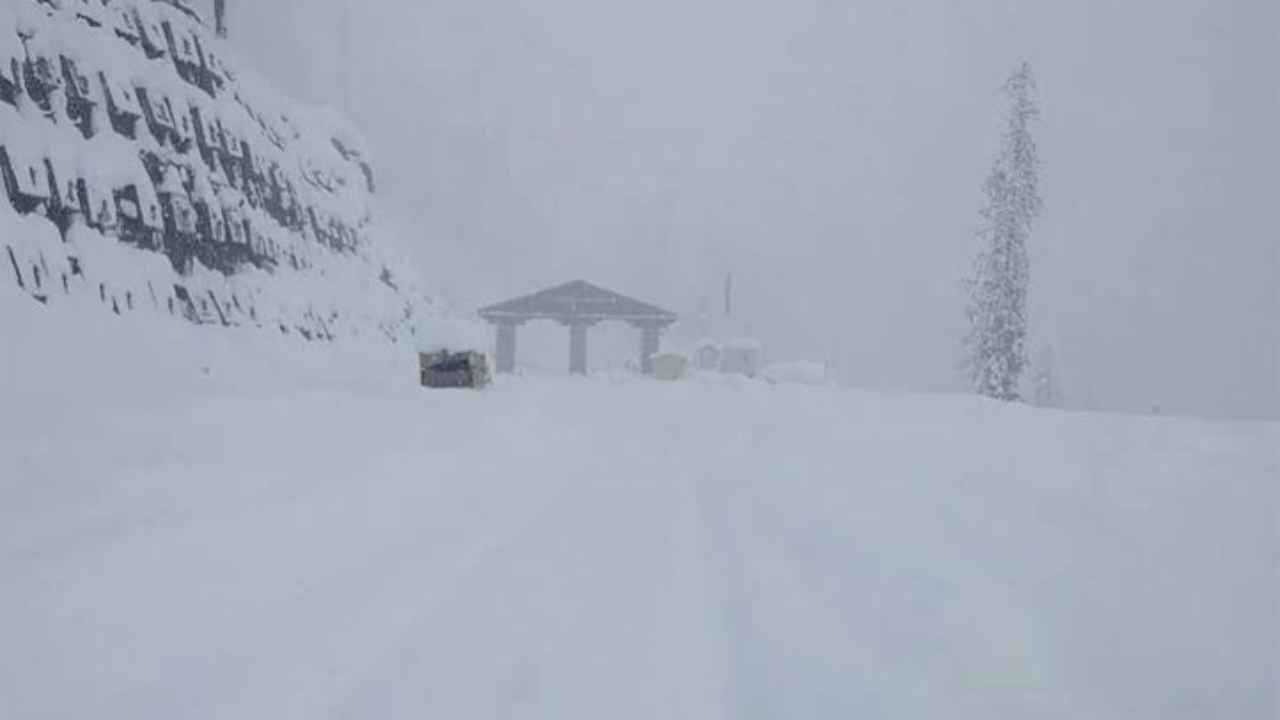 हिमाचल में कुदरत का कहर या वरदान? पहाड़ों पर आधा फुट बर्फ की चादर, मैदानी इलाकों में बारिश ने तोड़ा रिकॉर्ड Himachal Weather