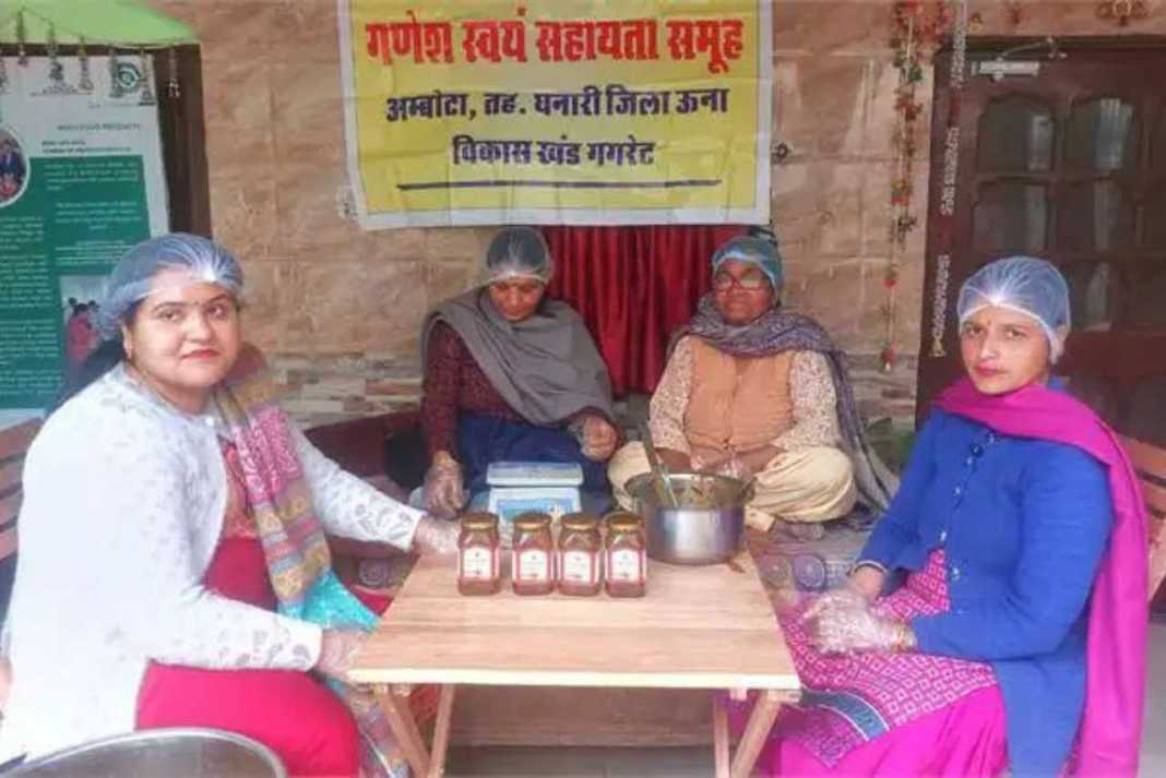 8 महिलाओं के साथ शुरू किया काम, आज अचार और चटनी से कमा रहीं लाखों! जानिए ऊना की निशु सूद की प्रेरक कहानी Nishu Sood