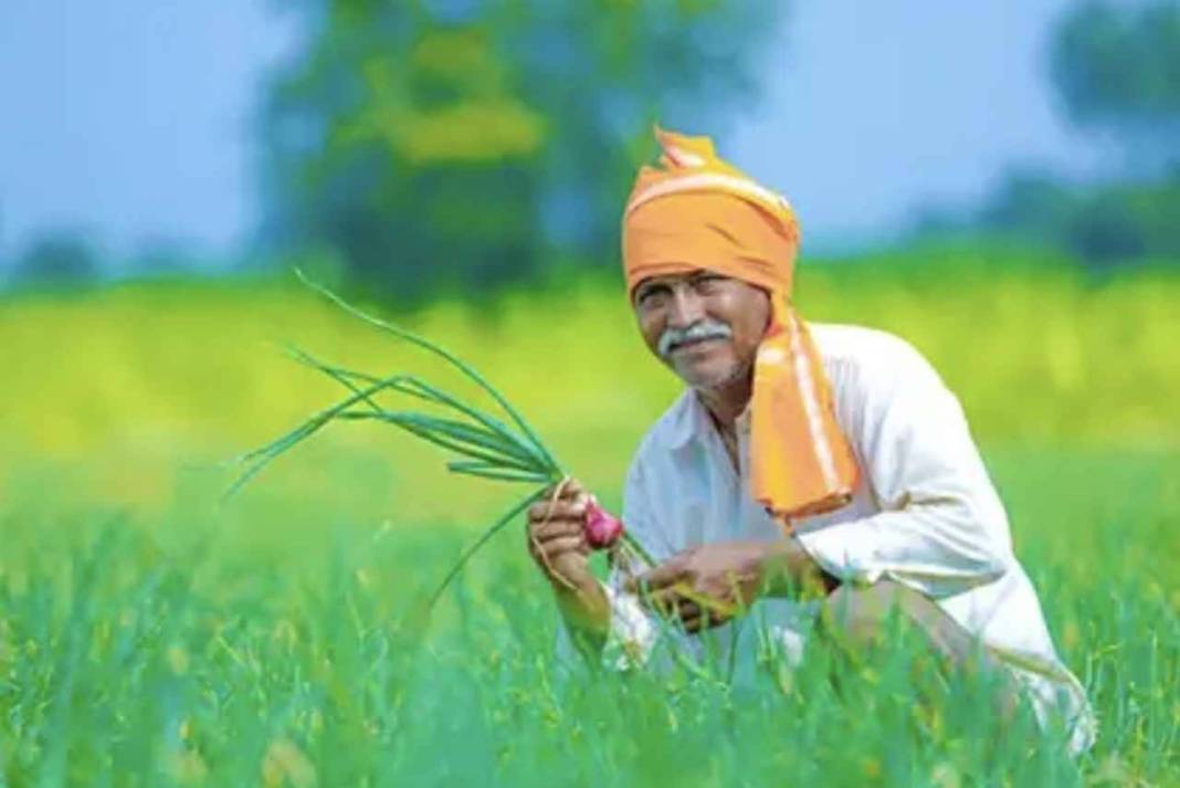 क्या आपकी भी बंद होने वाली है पीएम किसान की किस्त? हमीरपुर से शुरू हुआ महा-सर्वे, छिन जाएगा 6 हजार का फायदा PM Kisan