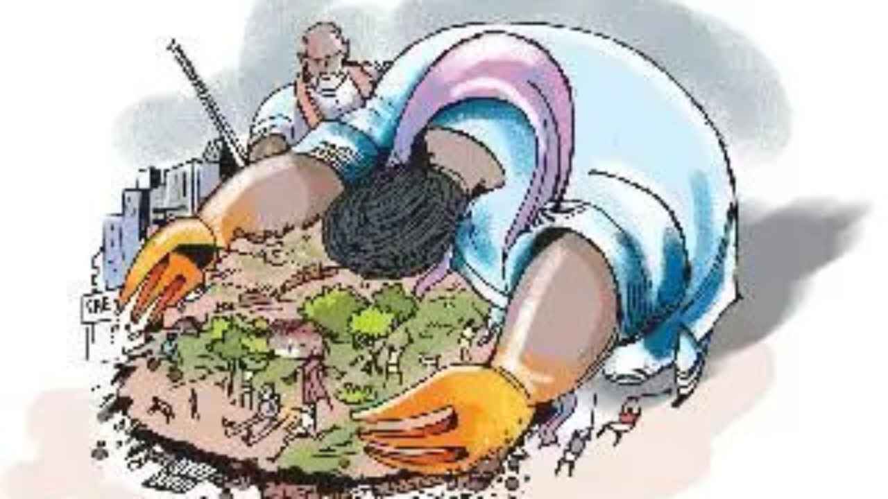 Prayagraj News Uttar Pradesh News