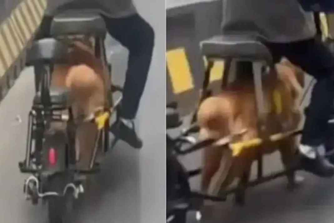 चीन में बुजुर्ग ने बैटरी निकालकर बाइक से बांध दिया कुत्ता, वीडियो वायरल Viral Video News