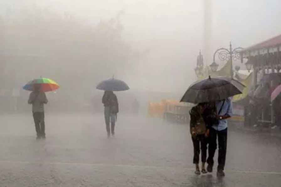पहाड़ों पर फिर बिगड़ा मौसम का मिजाज! झमाझम बारिश और तूफानी हवाओं का येलो अलर्ट, जानिए कब मिलेगी राहत? rain in himachal