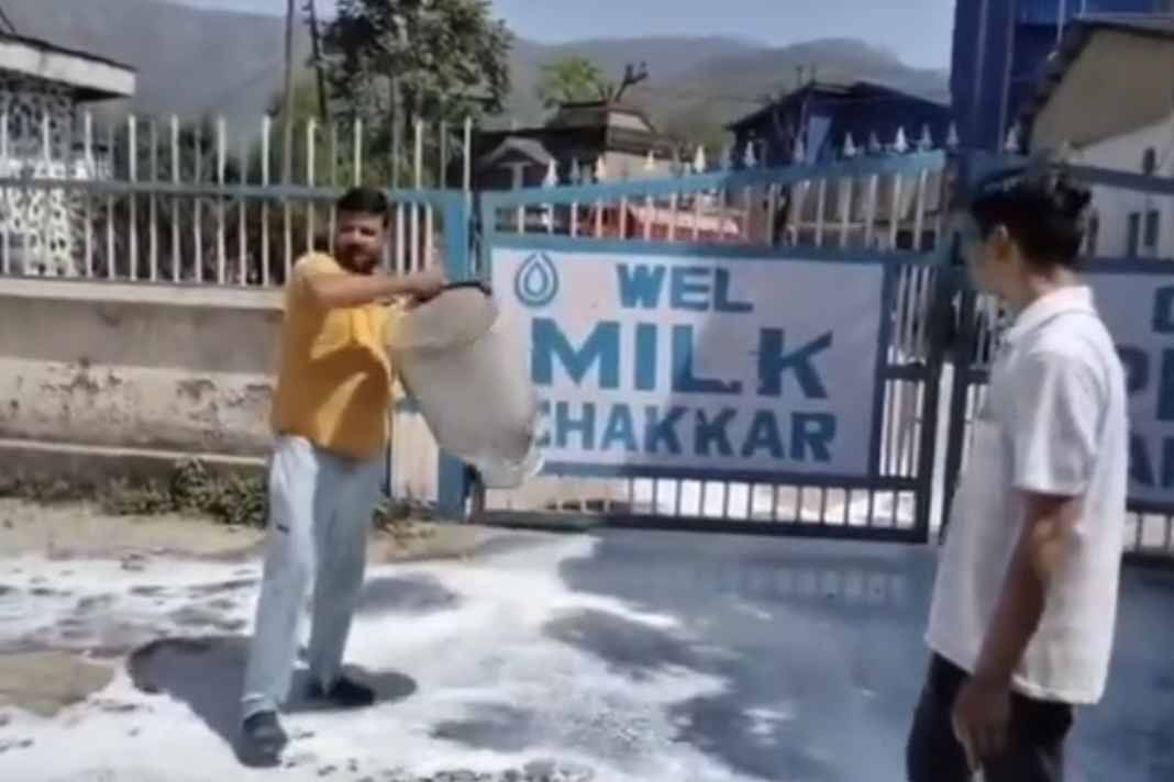 मंडी में किसानों का फूटा गुस्सा: मिल्कफेड प्लांट के बाहर बहाया 1200 लीटर दूध, सुक्खू सरकार पर उठे सवाल 1200 letters of milk thrown