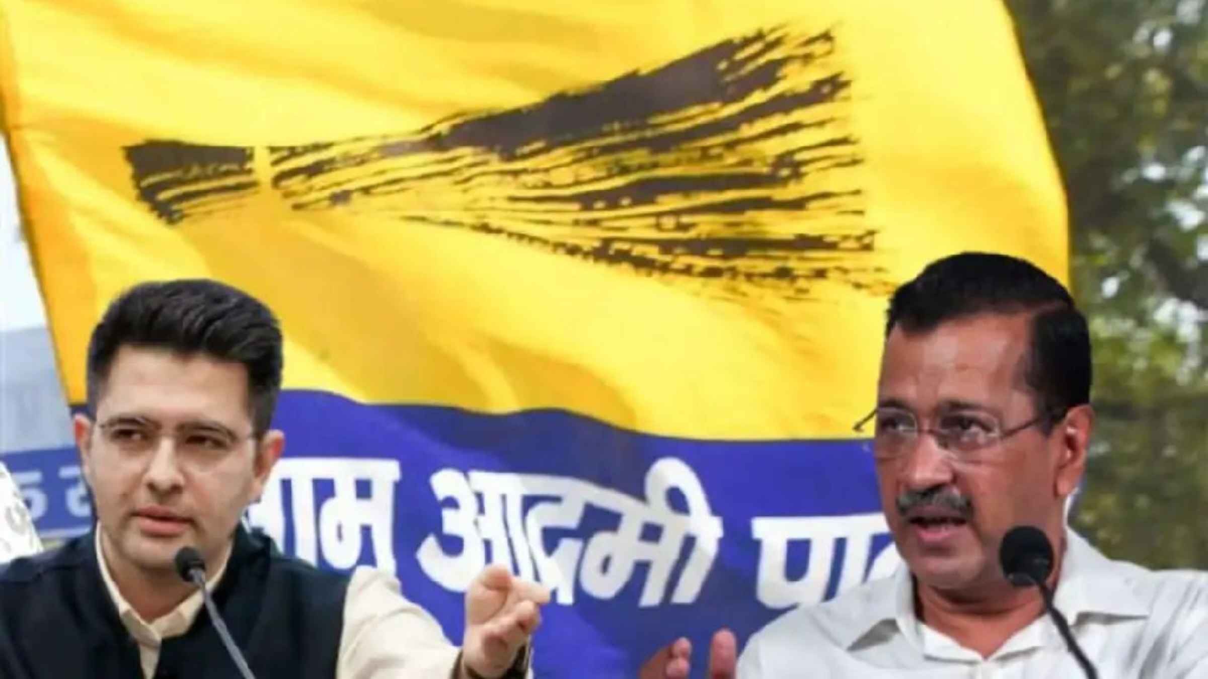 AAP Crisis Raghav Chadha