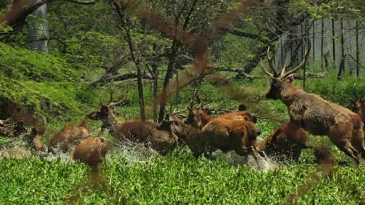 चंडीगढ़ में गर्मी का ‘टॉर्चर’: 40 डिग्री के पार पहुंचा पारा, अब आंधी-बारिश लेकर आ रही राहत की फुहारें ChandigarhWeather
