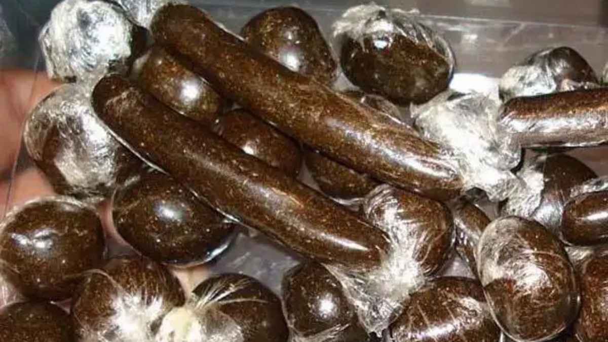 कांगड़ा पुलिस का 18 घंटे का महा-ऑपरेशन: ऑल्टो कार से 4 किलो चरस बरामद, बड़े तस्करों का भंडाफोड़ Charas Recovered