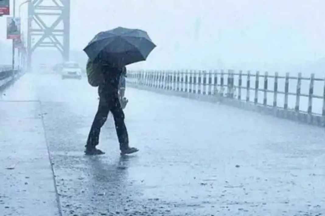 अलर्ट! उत्तर भारत पर मंडराया ‘पश्चिमी विक्षोभ’ का बड़ा खतरा, आज ही काट लें फसल वरना मचेगी भारी तबाही IMD Alert