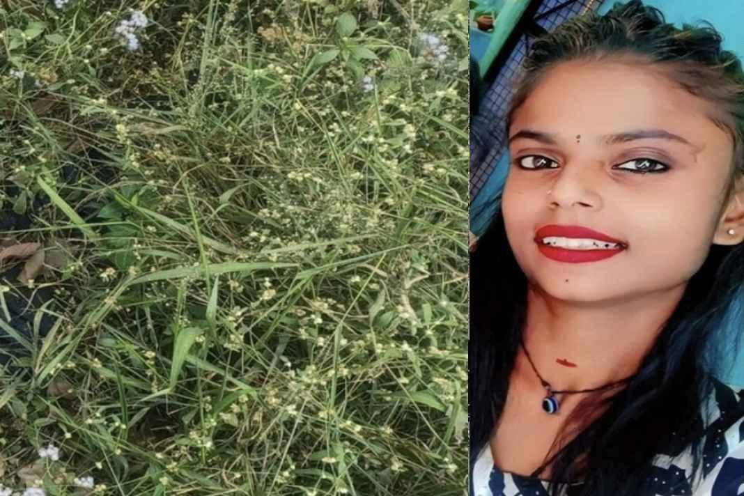 Murder mystery in Chandigarh