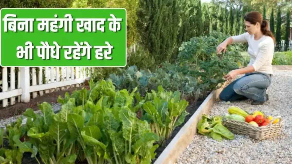 Organic gardening
