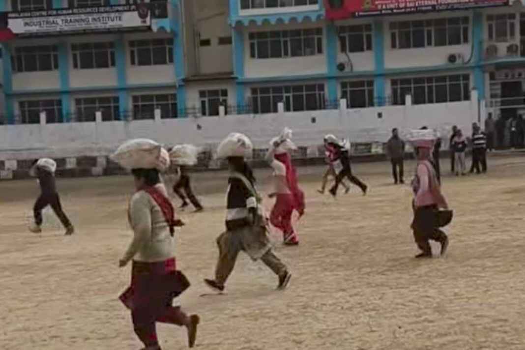 विवादों के बाद फिर शुरू हुई पशु मित्र भर्ती, कुल्लू में इस दिन से दौड़ेंगे युवा, जानें नया शेड्यूल Pashu Mitra Bharti