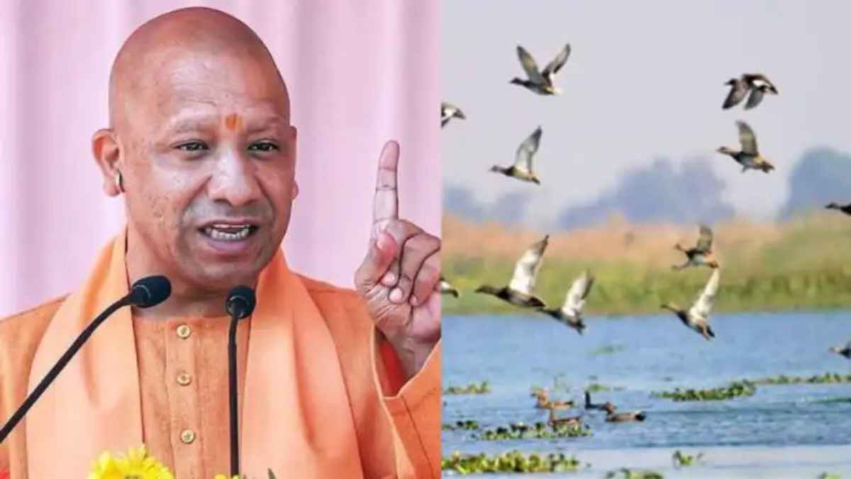 UP बनेगा देश का ‘वेटलैंड कैपिटल’: तमिलनाडु को पछाड़ने की तैयारी, 12 रामसर साइट्स के साथ नंबर 2 पर पहुंचा राज्य RamSarSites