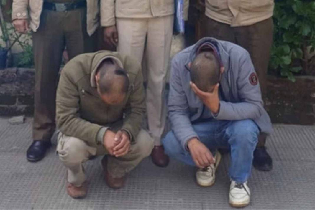 शिमला में 1 किलो चरस के साथ पकड़े गए दो तस्कर, पुलिस के हत्थे चढ़ते ही खुला नशे के नेटवर्क का बड़ा राज Two arrested with one kg of hashish