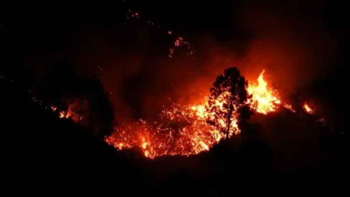 धधकते जंगलों ने बढ़ाई चिंता: नैनीताल में ब्लैक कार्बन 10 गुना बढ़ा, ग्लेशियरों और फेफड़ों पर मंडराया संकट UttarakhandForestFire