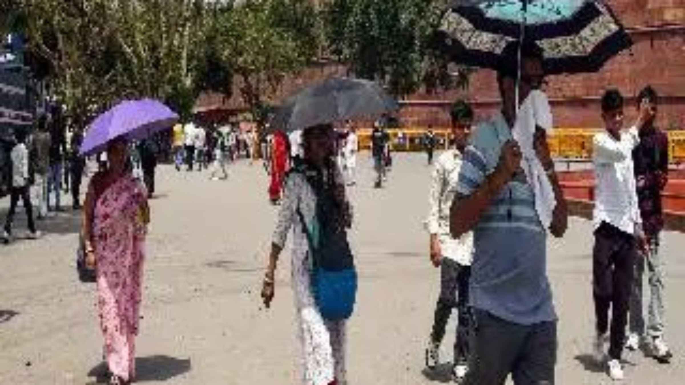 आसमान से बरस रही आग और 46 डिग्री का टॉर्चर, क्या पश्चिमी विक्षोभ दिलाएगा राहत या अभी और झुलसेगा उत्तर भारत? Weather Update Heatwave Alert