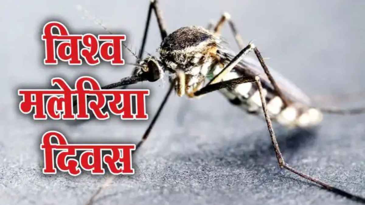 बरेली ने जीती मलेरिया से जंग: 46 हजार से 15 मरीजों तक पहुंचा आंकड़ा, जानिए कैसे थमी बीमारी की रफ्तार WorldMalariaDay
