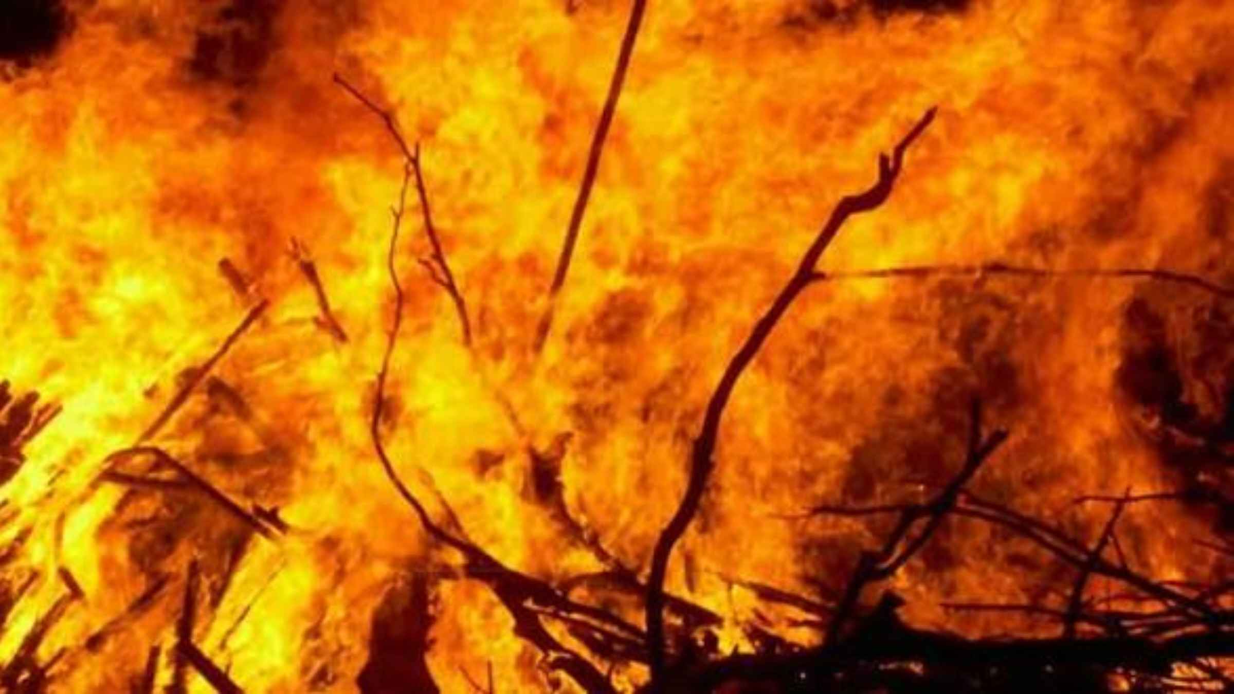 नए फ्लैट की पार्टी नहीं दी तो दोस्त ने टेम्पो चालक पर पेट्रोल डालकर लगा दी आग, माचिस की तीली जलाकर बोला- ‘अब पार्टी का मजा ले’ delhi crime petrol attack