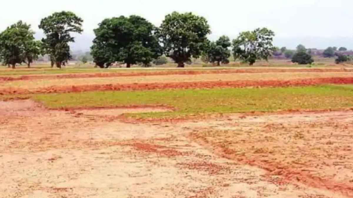 कानपुर में नजूल की जमीन का महाघोटाला: CBCID दफ्तर वाली सरकारी जमीन 24 करोड़ में बेची, 3 NRI समेत 6 पर FIR land fraud cbcid office area