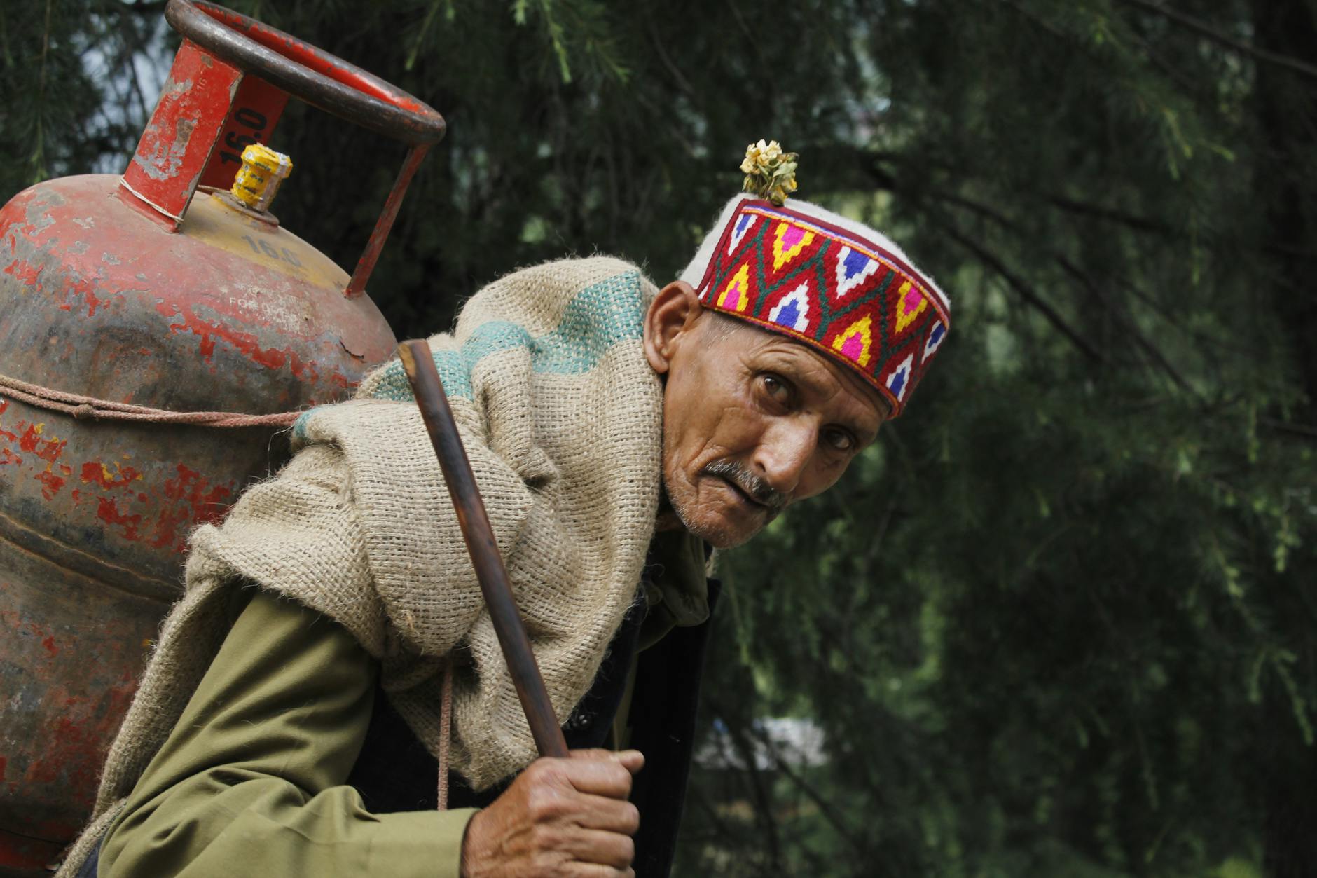 LPG संकट खत्म! 45 दिन की लंबी वेटिंग से मिली आजादी, अब बुकिंग के तुरंत बाद घर आएगा गैस सिलेंडर pexels-photo-36405818