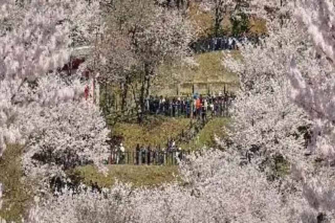 tourism Japan