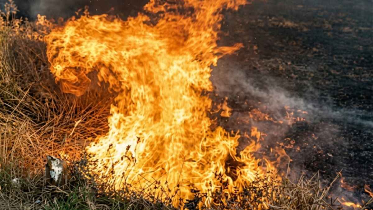 woman burnt alive