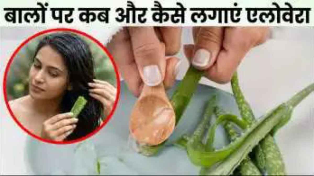 बालों को लंबा और घना बनाने का रामबाण उपाय! घर पर एलोवेरा जेल इस्तेमाल करने का सही तरीका जानें AloeVeraForHair