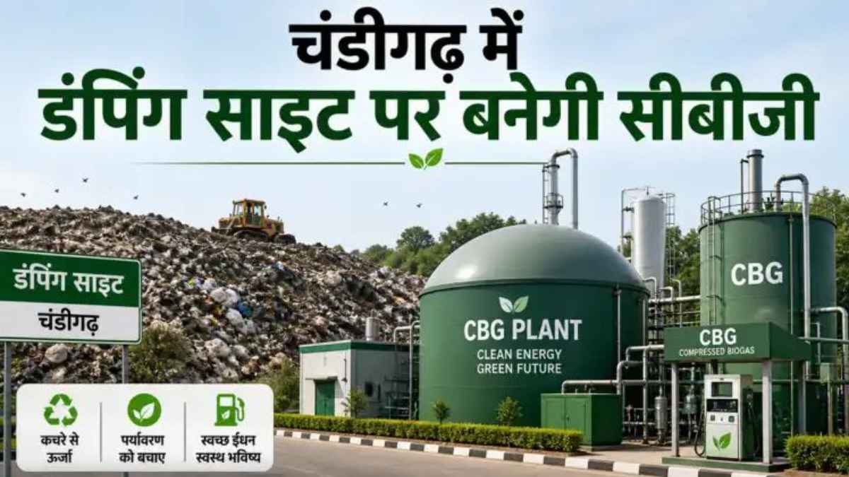 Dadu Majra CBG Plant: डड्डूमाजरा में कचरे से बनेगी बायोगैस, रोजाना 200 टन गीले कचरे का होगा निपटान BioGasPlant