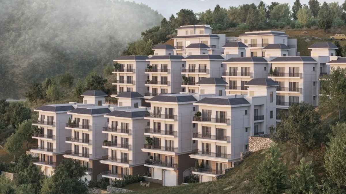 Chester Hill Solan