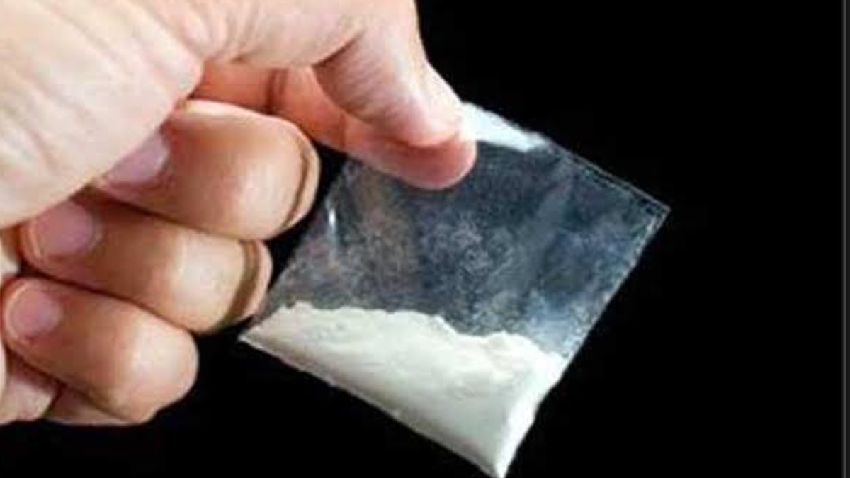मंडी के गोहर में चल रहा था नशे का काला खेल, पुलिस की अचानक दबिश से मचा हड़कंप; दो युवक गिरफ्तार Chitta