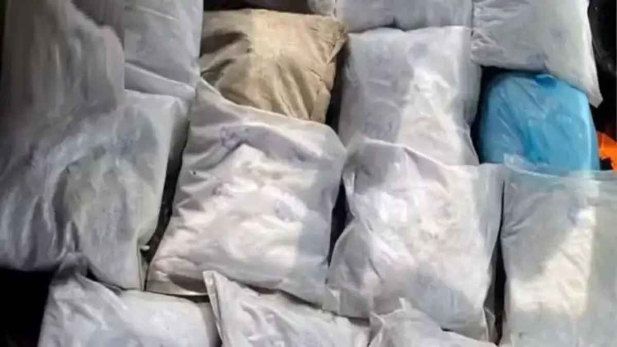 CocaineSeizure