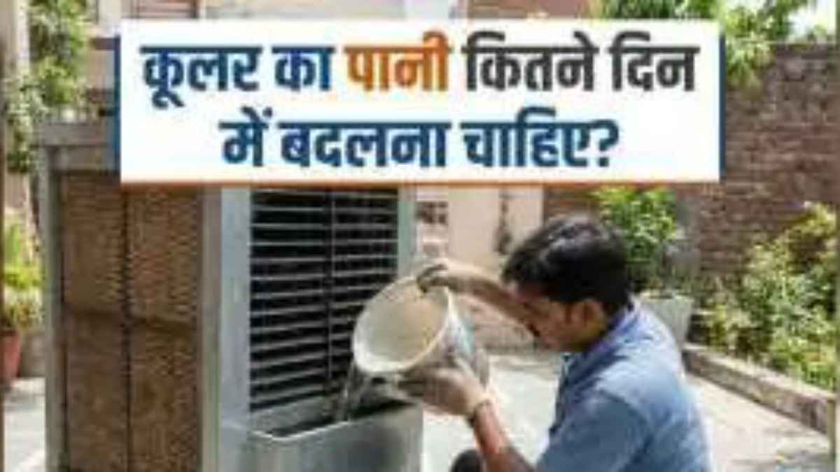 कूलर का पानी कब बनेगा ‘जानलेवा’? जानें बीमारियों से बचने के लिए इसे कब और कैसे बदलें CoolerCare