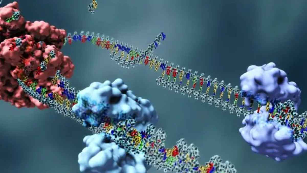 DNASequencing