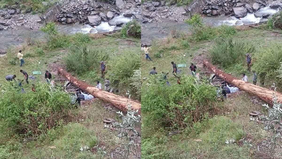 कुल्लू में कुदरत का भयंकर कहर: आंधी-तूफान में बोलेरो पर गिरा विशाल पेड़, 4 महिला शिक्षकों की दर्दनाक मौत Deceased female teachers