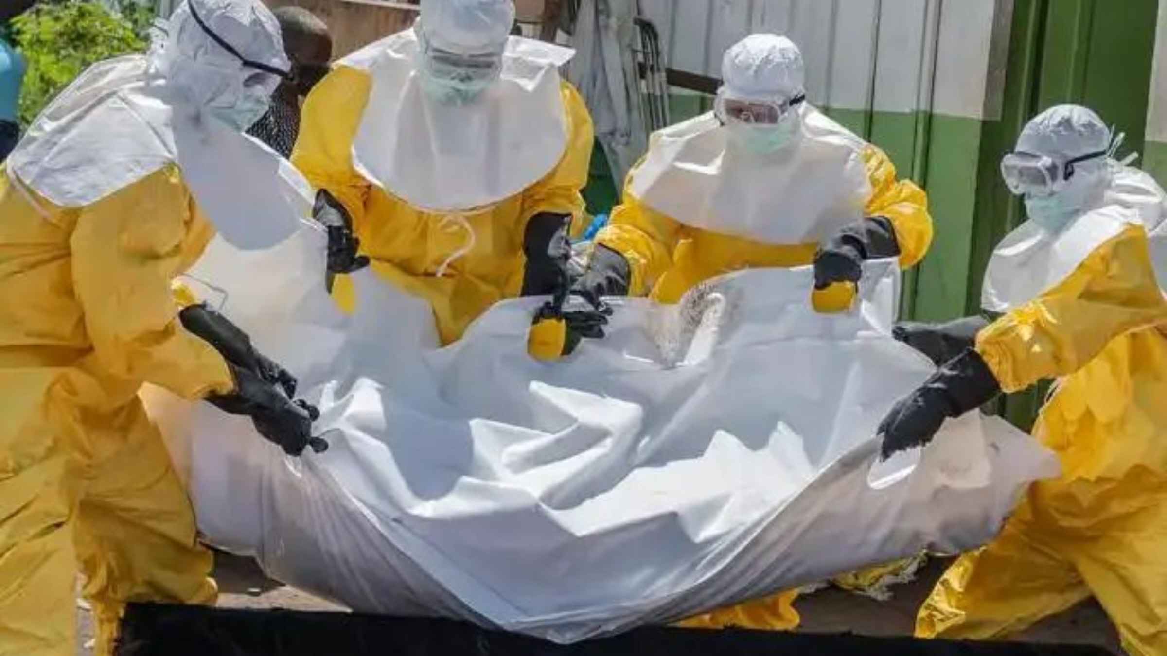 Ebola Virus