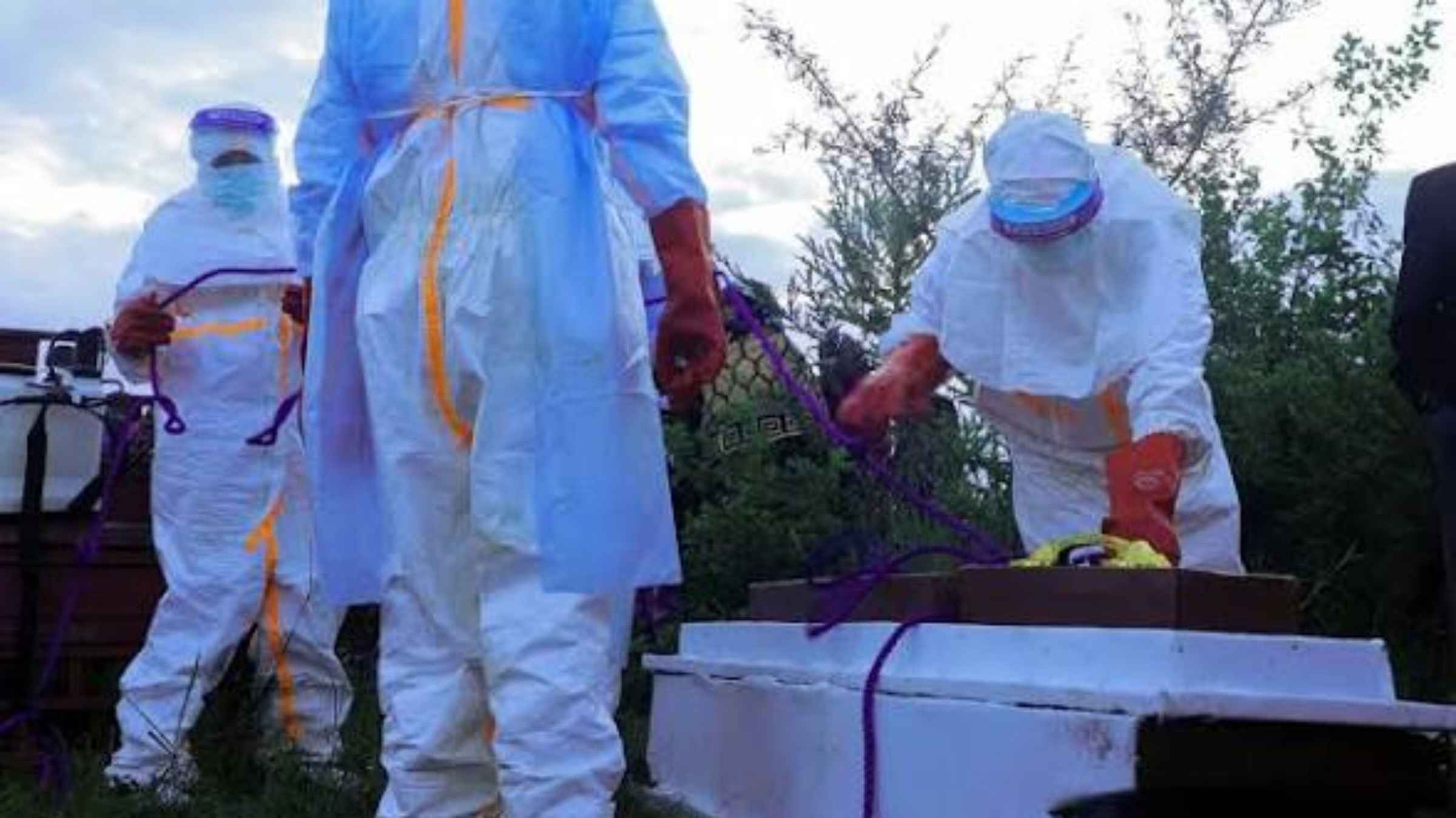 Ebola Virus Outbreak 