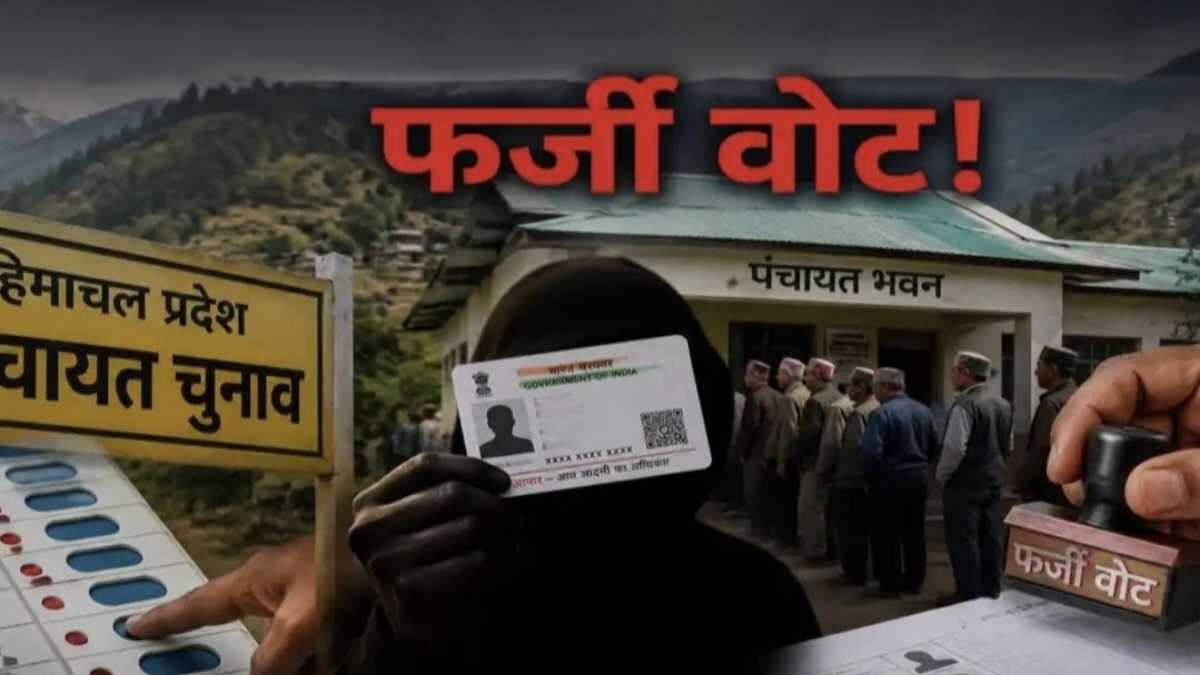 Fake Vote 