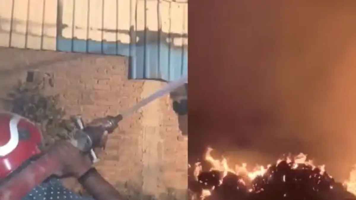Satna Rice Mill Fire: सतना की राइस मिल में भयंकर आग का तांडव, रिफाइनरी ऑपरेटर की दर्दनाक मौत, चारों तरफ मची चीख-पुकार! FireAccident