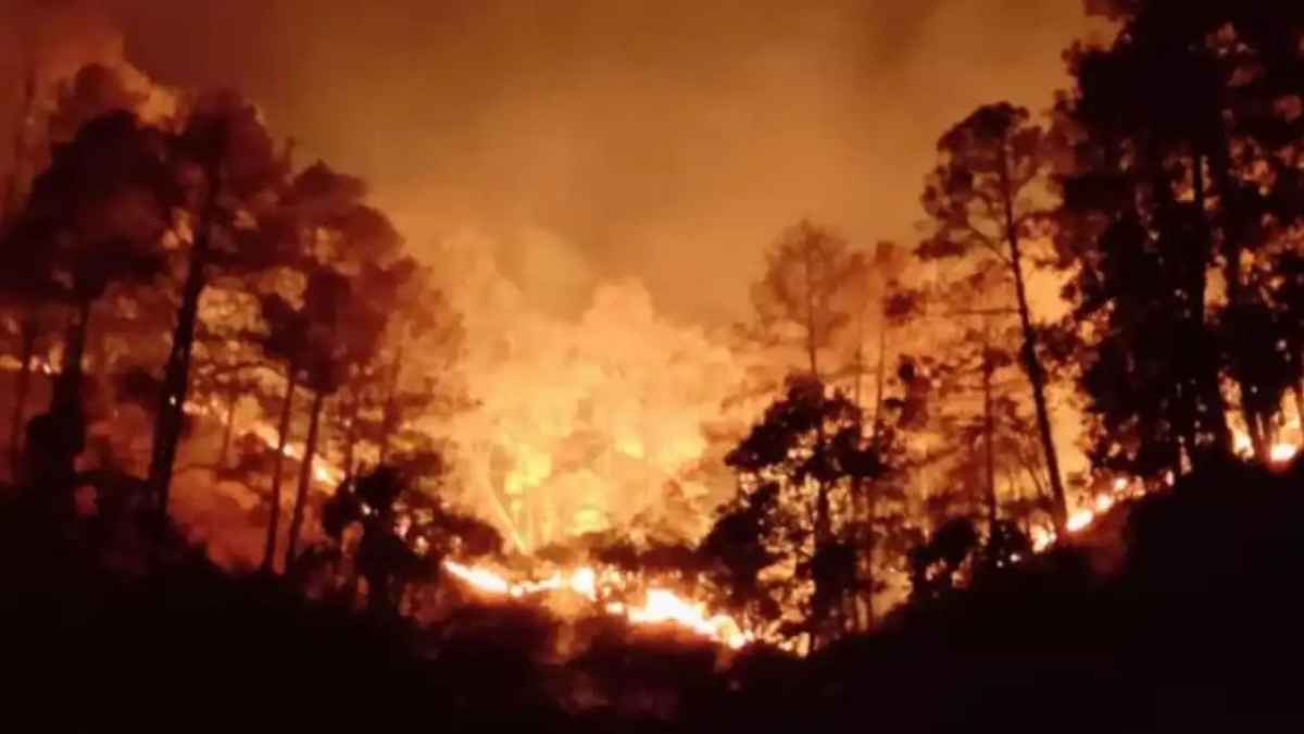 Forest fire in Andhra Pradesh