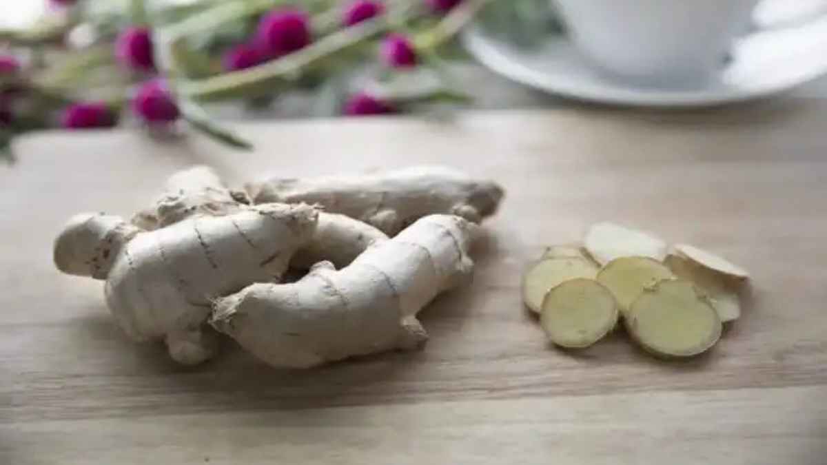 GingerStorage