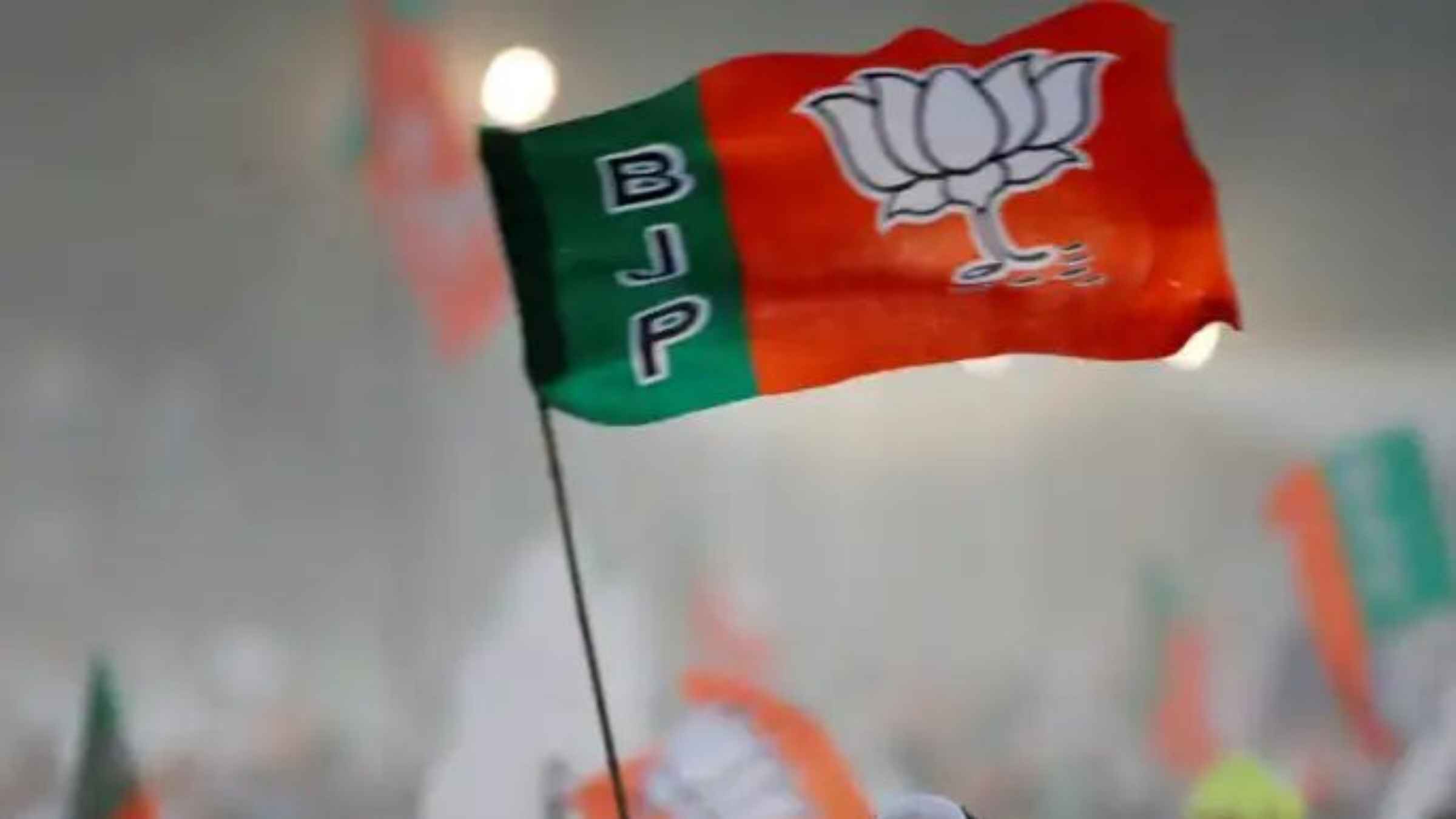 हिमाचल प्रदेश निकाय चुनाव के नतीजों ने उड़ाए सियासी दिग्गजों के होश, मंडी और धर्मशाला में भाजपा की बंपर जीत Himachal Local Body Election Results