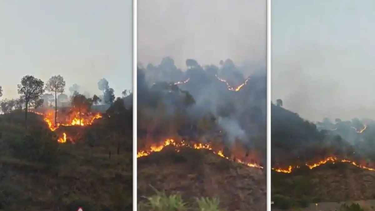 हिमाचल के जंगलों और रिहाइशी इमारत में भड़की भीषण आग, सचिवालय के पास मची अफरा-तफरी, भारी नुकसान Himachal Pradesh Fire
