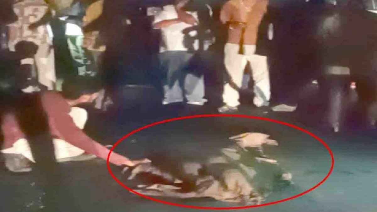 प्यार की तलाश में आई युवती की खौफनाक मौत: ज्वालाजी में ‘हिट एंड रन’ का शिकार हुई सिमरन, प्रेमी के सामने कुचला सिर Jwalamukhi Road Accident