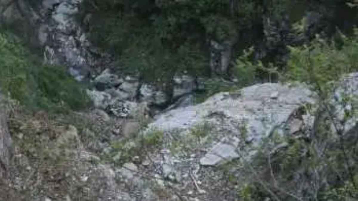 Kalaban Incident