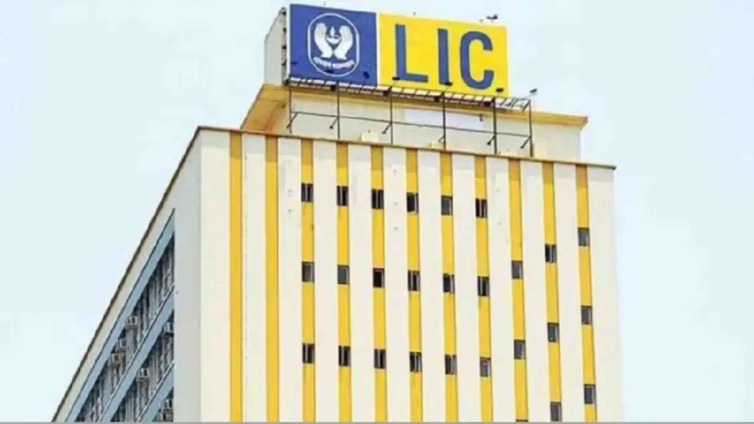 LIC ने किया इतिहास का सबसे बड़ा ऐलान, बोनस शेयर और डिविडेंड की खबर से रॉकेट बने कंपनी के शेयर LIC Share Price