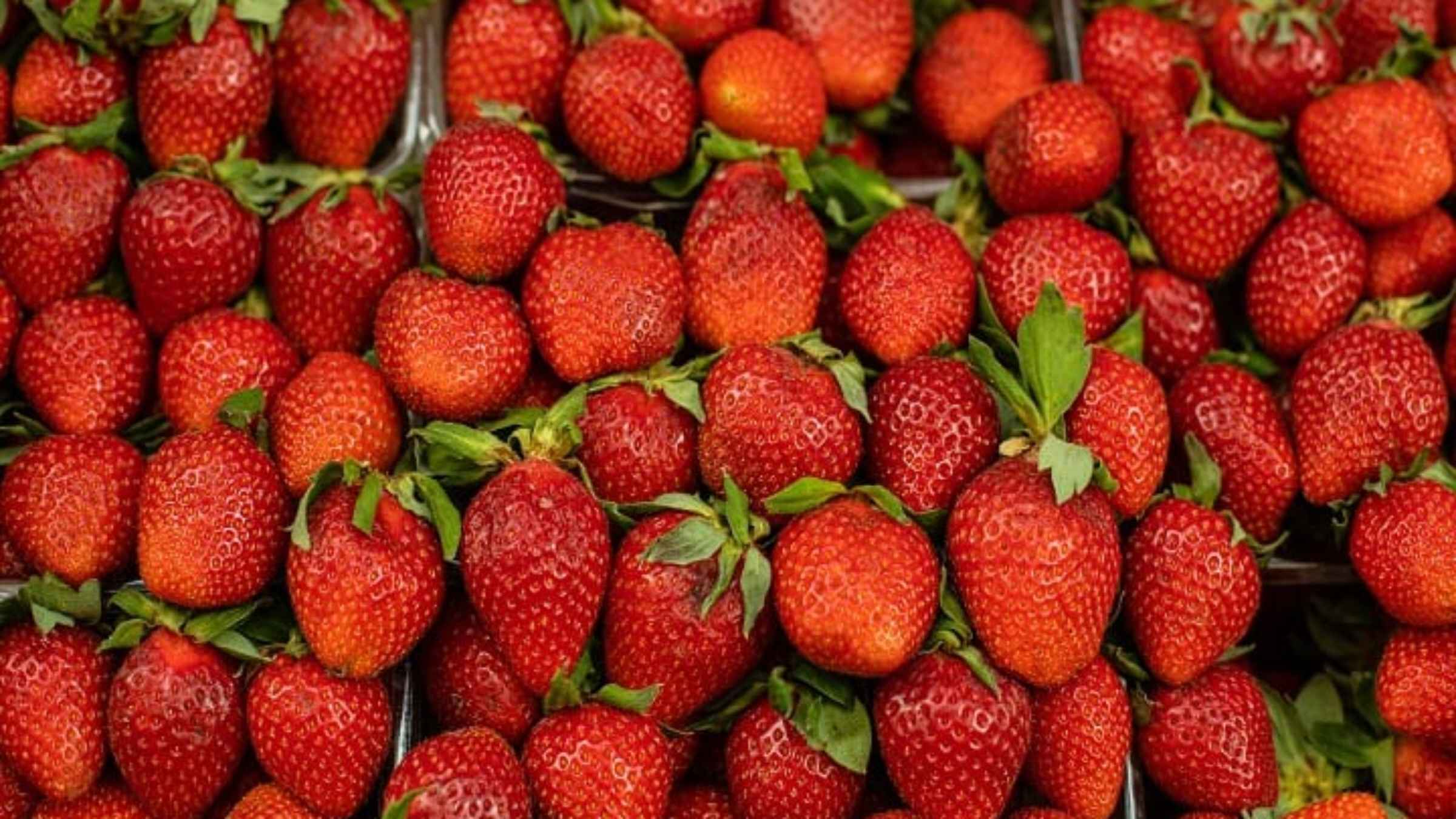 Lychee Fruit Benefits 