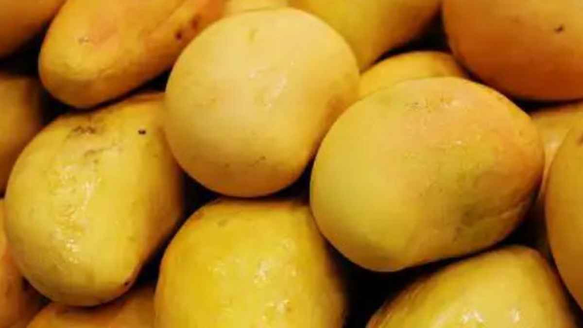 MangoSeason