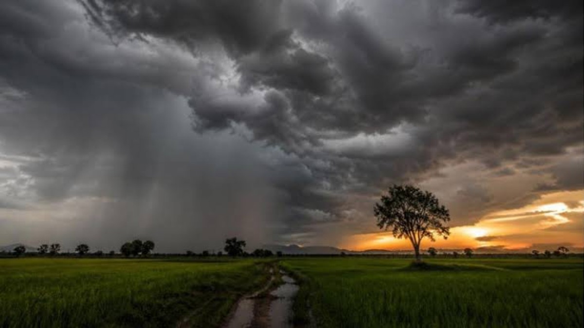 Monsoon 