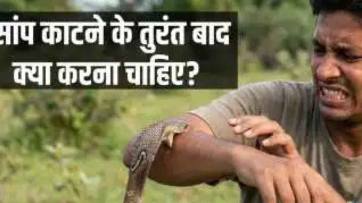 SnakeBite