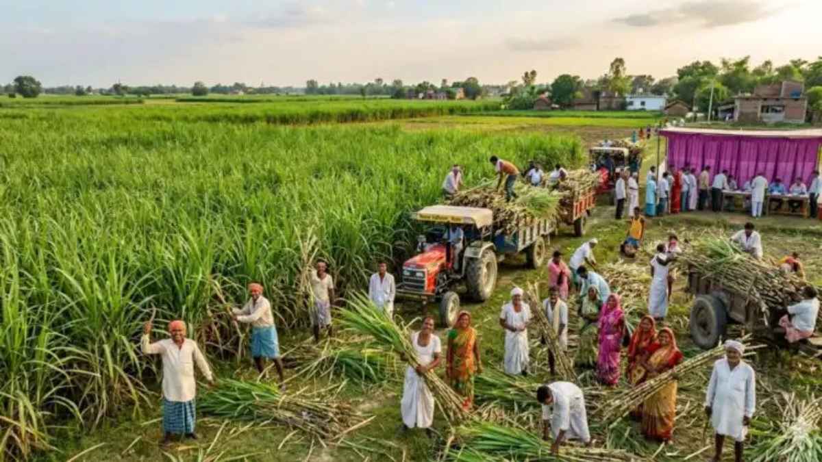 गन्ना खेती में बिहार की बड़ी छलांग: गैर-चीनी मिल क्षेत्रों में भी बहेगी गन्ने की मिठास, 1.20 लाख किसान हुए पंजीकृत SugarcaneFarming