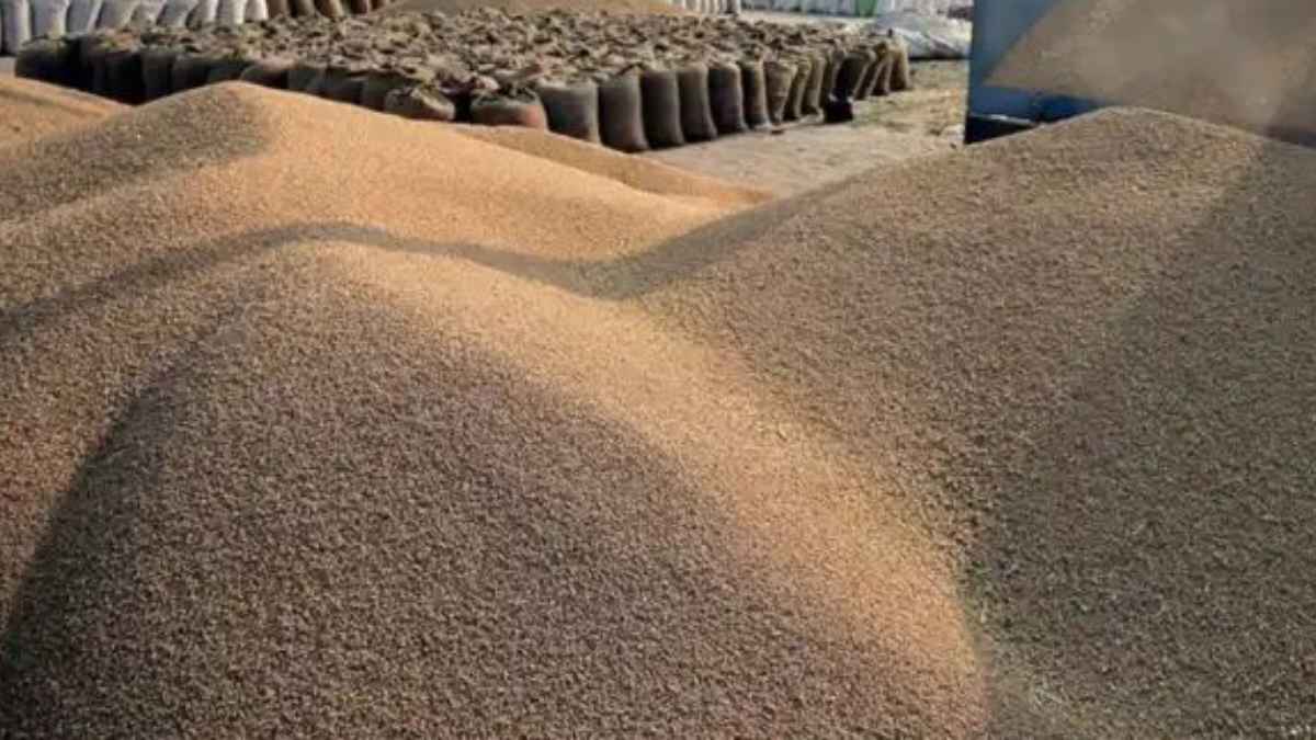 गेहूं खरीद में रिकॉर्ड तोड़ उछाल: किसानों के लिए बड़ी खबर, जानें किस राज्य ने मारी बाजी WheatProcurement